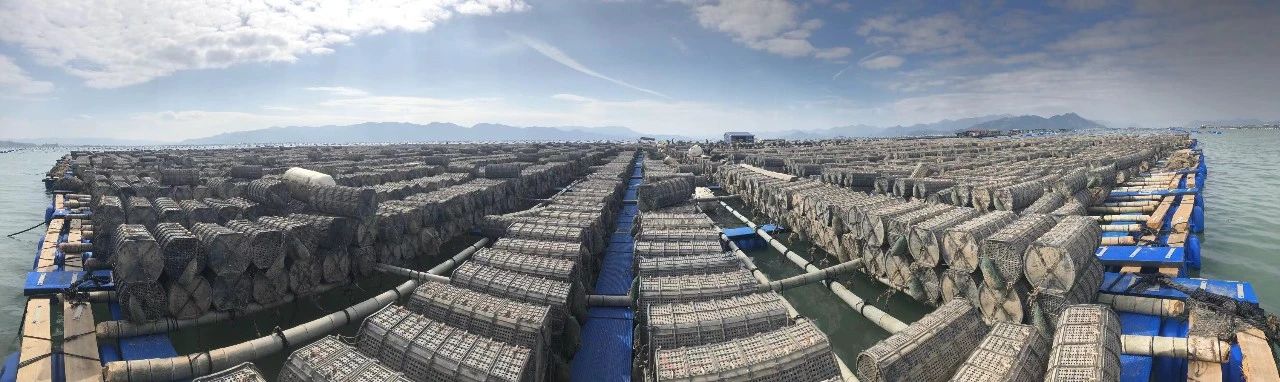 【優質展商】雙浩源水產有限公司 —— 質量贏得市場,誠信鑄就品牌(圖5) 微信圖片_20240809153701.jpg