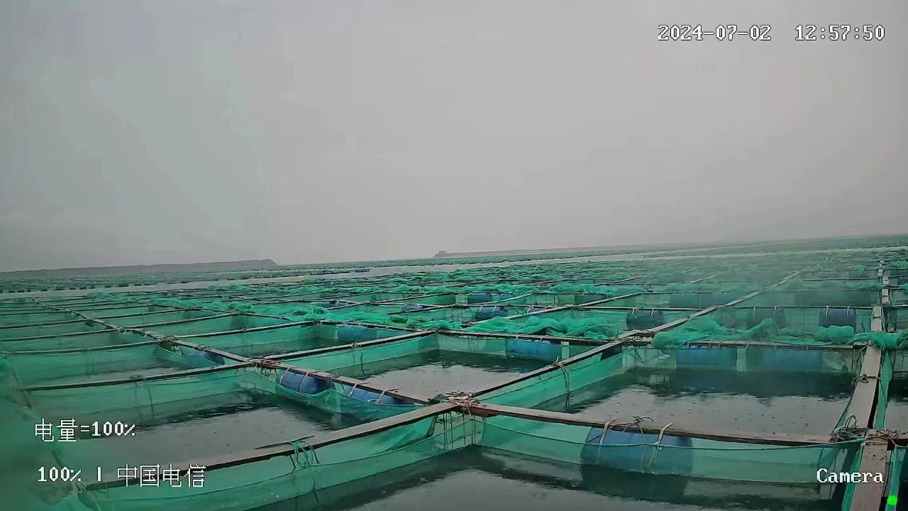 【優質展商】雙浩源水產有限公司 —— 質量贏得市場,誠信鑄就品牌(圖6) 微信圖片_20240809153737.jpg