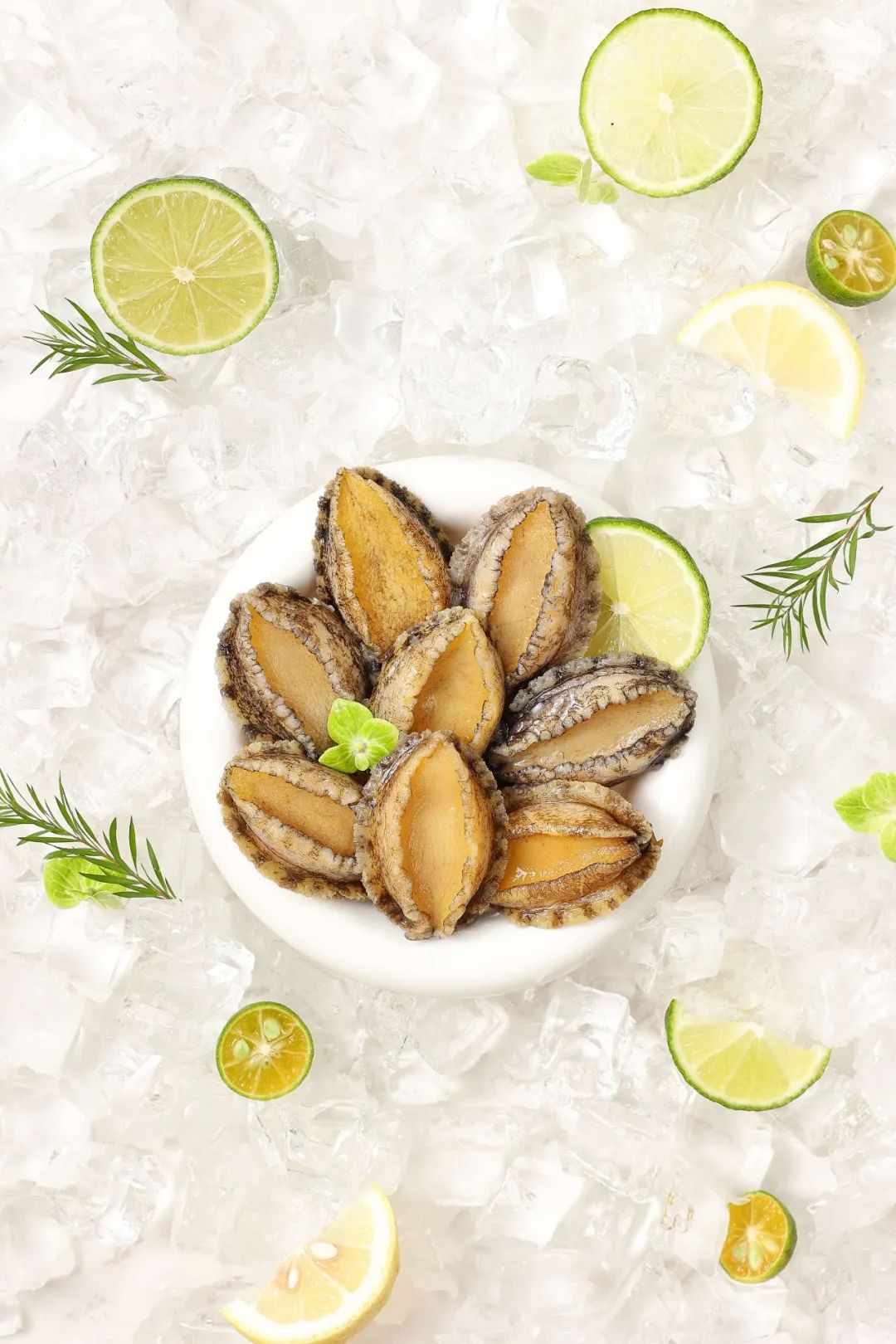 【優質展商】福州源豐海洋科技有限公司——我養鮑魚，鮑魚養你(圖8)