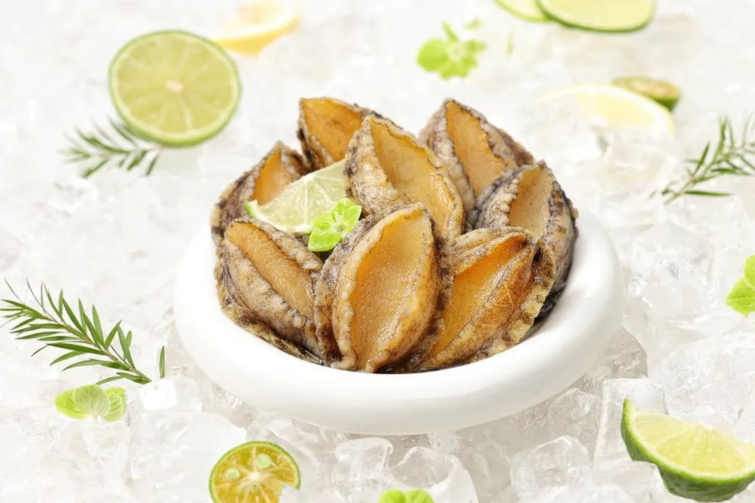 【優質展商】福州源豐海洋科技有限公司——我養鮑魚，鮑魚養你(圖10)