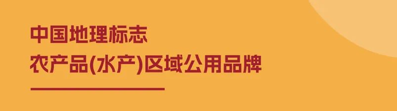重磅推出！首屆水產區域公用品牌大會解碼行業趨勢，邀您研討未來！(圖22)