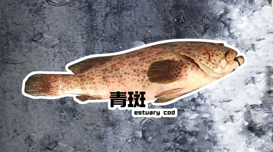 【優質展商】煙臺有個海進出口有限公司——讓野生鮮味直達舌尖！(圖3)