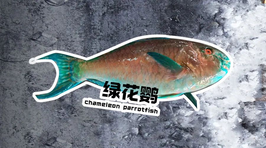 【優質展商】煙臺有個海進出口有限公司——讓野生鮮味直達舌尖！(圖10)