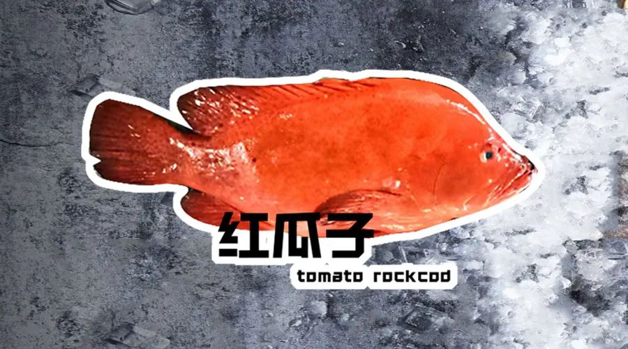 【優質展商】煙臺有個海進出口有限公司——讓野生鮮味直達舌尖！(圖8)