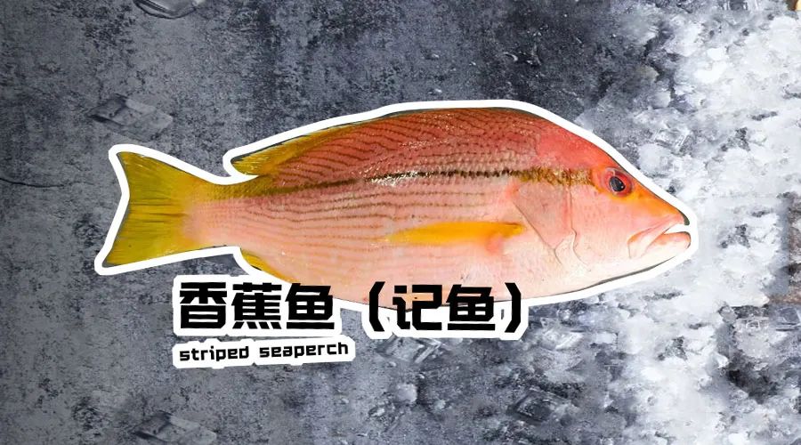 【優質展商】煙臺有個海進出口有限公司——讓野生鮮味直達舌尖！(圖13)