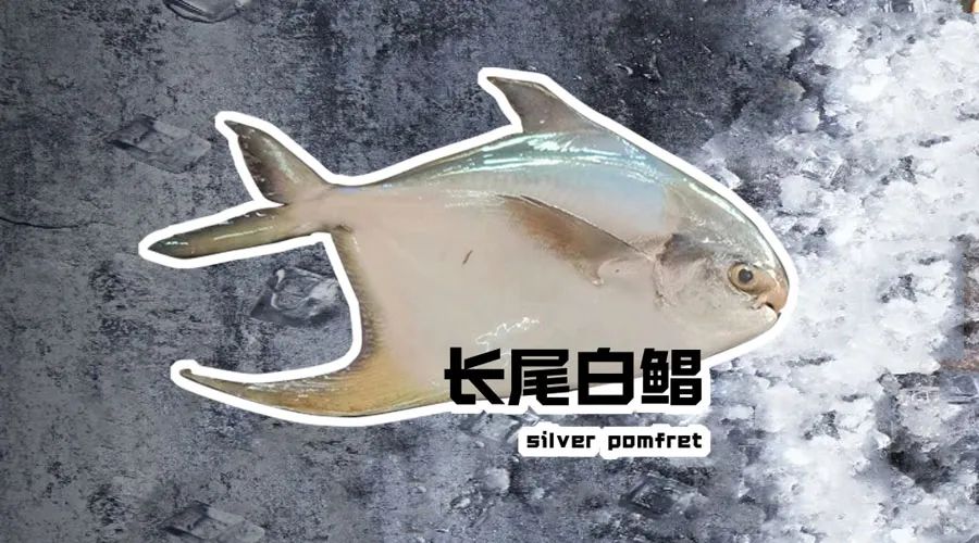 【優質展商】煙臺有個海進出口有限公司——讓野生鮮味直達舌尖！(圖16)