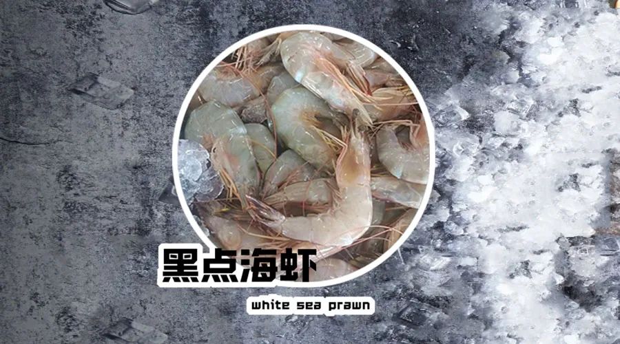 【優質展商】煙臺有個海進出口有限公司——讓野生鮮味直達舌尖！(圖17)