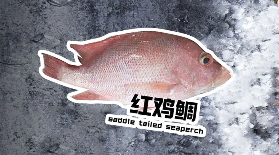 【優質展商】煙臺有個海進出口有限公司——讓野生鮮味直達舌尖！(圖14)