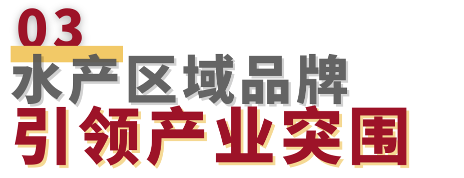 聚焦水產地標，賦能品牌未來——2025水產地理標志區域公用品牌博覽會將于8月在上海啟幕！(圖9)