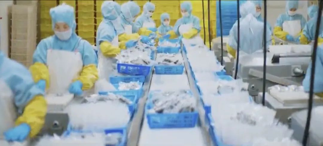 【優質展商】丹東泰宏食品有限公司——全球首個雜色蛤MSC認證企業(圖2)