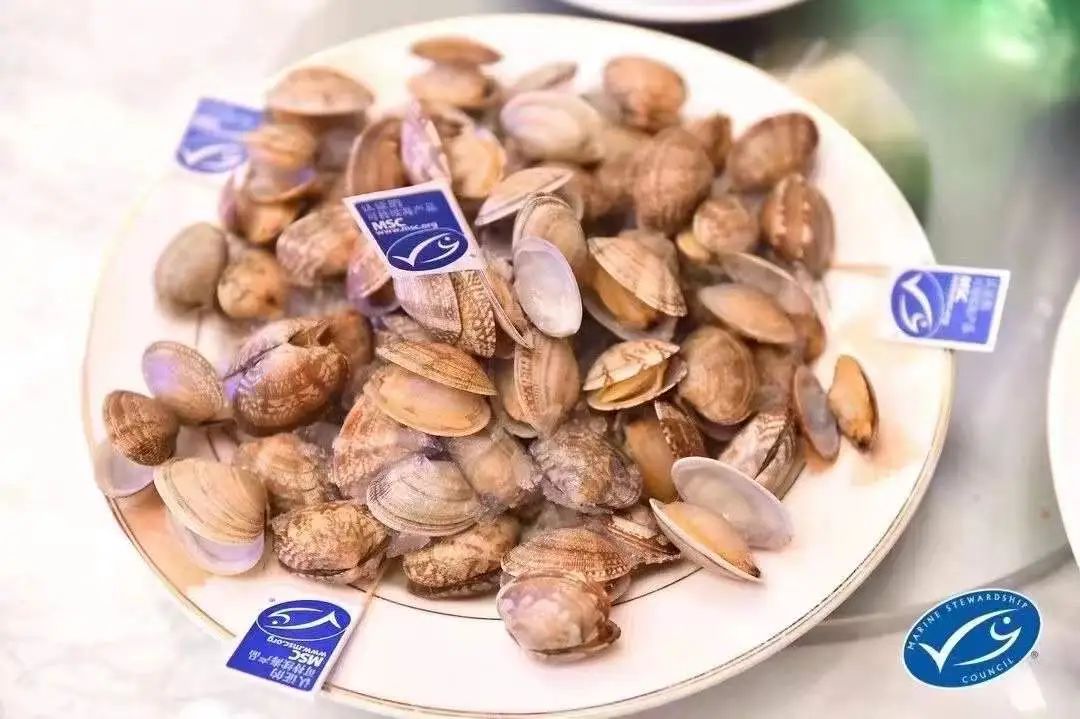 【優質展商】丹東泰宏食品有限公司——全球首個雜色蛤MSC認證企業(圖6)