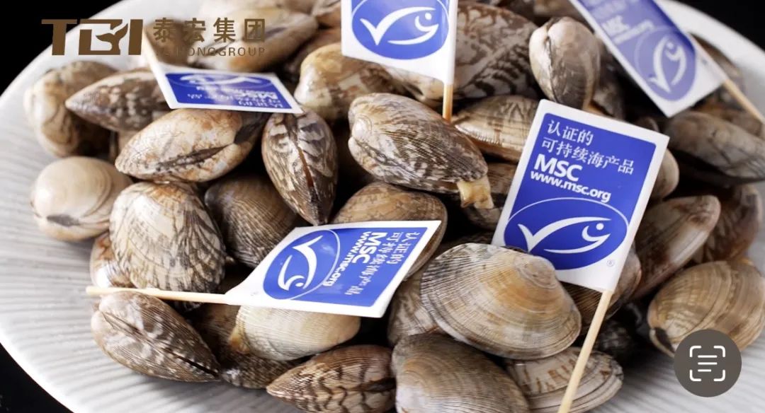 【優質展商】丹東泰宏食品有限公司——全球首個雜色蛤MSC認證企業(圖7)