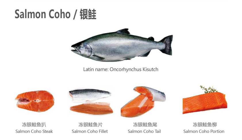 【優(yōu)質(zhì)展商】天津食品供應(yīng)鏈集團(tuán)國(guó)際貿(mào)易有限公司——共享、服務(wù)(圖2)