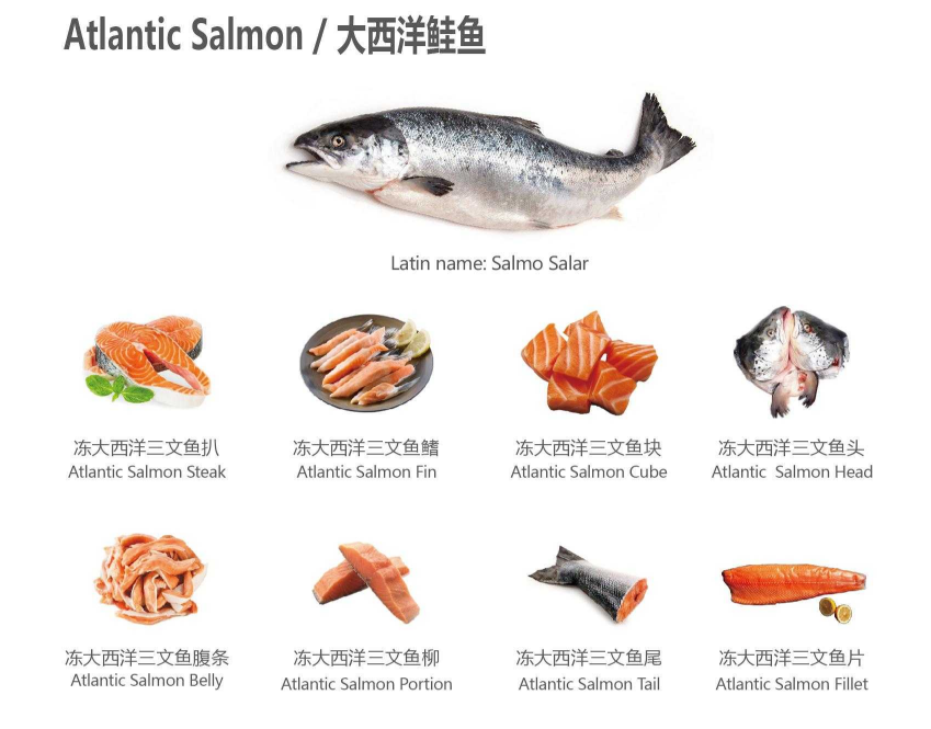 【優(yōu)質(zhì)展商】天津食品供應(yīng)鏈集團(tuán)國(guó)際貿(mào)易有限公司——共享、服務(wù)(圖1)