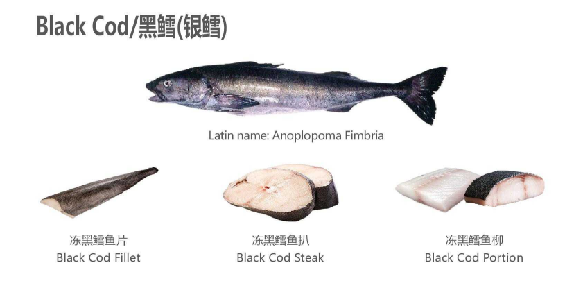 【優(yōu)質(zhì)展商】天津食品供應(yīng)鏈集團(tuán)國(guó)際貿(mào)易有限公司——共享、服務(wù)(圖4)