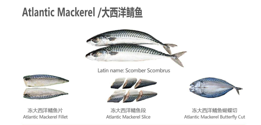 【優(yōu)質(zhì)展商】天津食品供應(yīng)鏈集團(tuán)國(guó)際貿(mào)易有限公司——共享、服務(wù)(圖5)