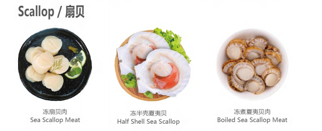 【優(yōu)質(zhì)展商】天津食品供應(yīng)鏈集團(tuán)國(guó)際貿(mào)易有限公司——共享、服務(wù)(圖8)
