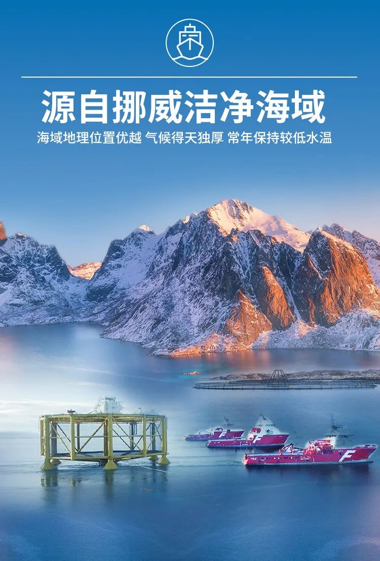 領“鮮”新食代！海天下全系海鮮重新定義消費新體驗(圖4)
