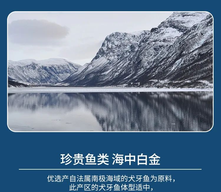 領“鮮”新食代！海天下全系海鮮重新定義消費新體驗(圖25)