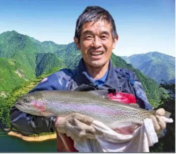 秦嶺深處養出“冷泉三文魚”，商洛探索漁業新路徑(圖4)