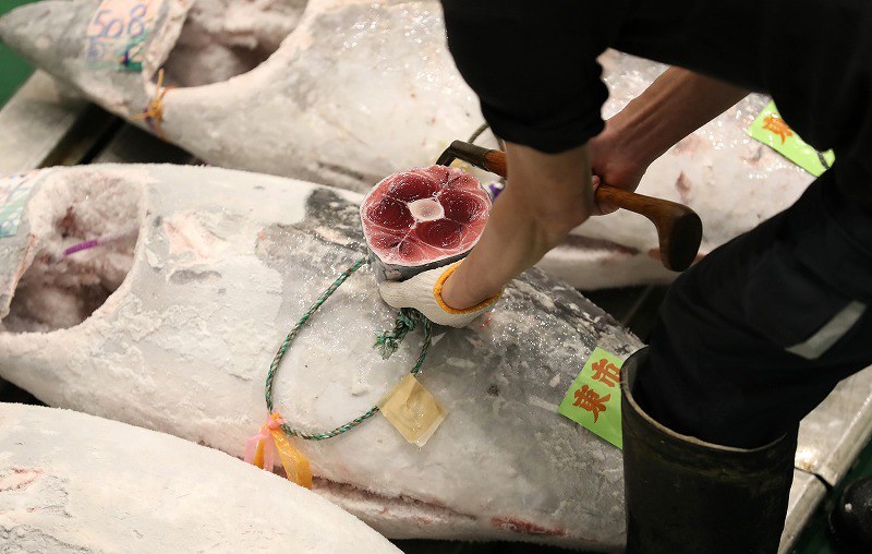 日本金槍魚市場第9周出現(xiàn)分化 冷凍藍(lán)鰭金槍魚價格飆升38%(圖3)