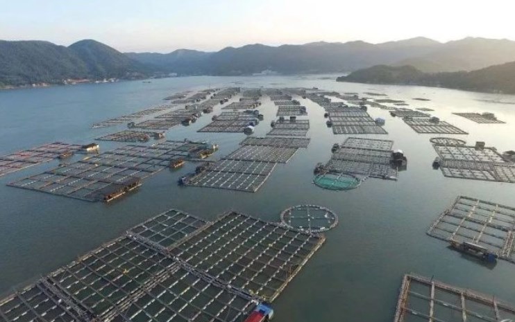 設備驅動增效，冷鏈保障價值：2026上海漁博會匯聚養殖裝備、加工機械、冷鏈科技定義水產新局(圖2)