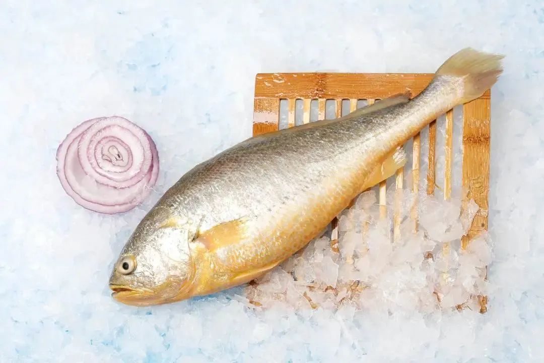 廣西金海盈食品有限公司誠邀您參加第16屆上海國際漁業博覽會(圖3)