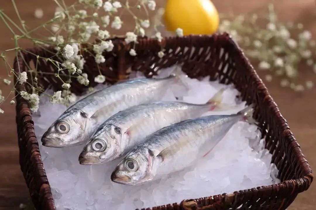 廣西金海盈食品有限公司誠邀您參加第16屆上海國際漁業博覽會(圖13)