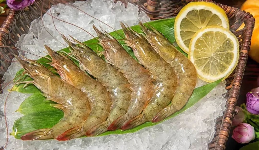 廣西金海盈食品有限公司誠邀您參加第16屆上海國際漁業博覽會(圖16)