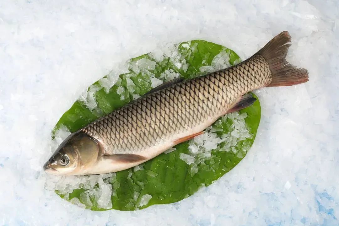 廣西金海盈食品有限公司誠邀您參加第16屆上海國際漁業博覽會(圖15)