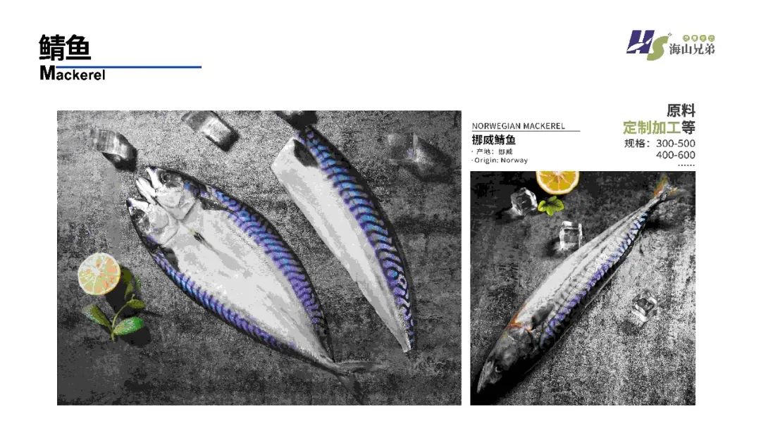 東港市大興食品有限公司座落于遼寧省東港市新城區，由大興水產商行于1992年創立并發展，至2012年正式成立公司，并創立“漁凱”品牌。下設大興冷凍食品加工廠、鮮活水產批發門店、本地海鮮產品服務供應鏈、海(圖13)