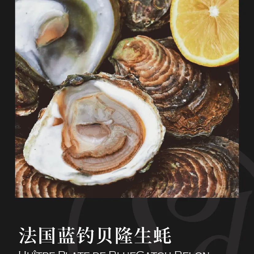 鼎宴食品（上海）有限公司——生活因美食而綻放(圖14)